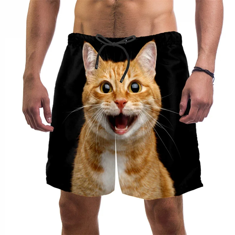 Short de plage imprimé chat dr - Summer Vacation Clothing Men avis et prix