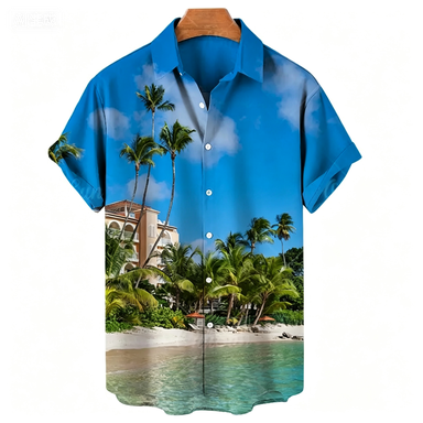 Chemises Hawaïennes pour Homme - Summer Vacation Clothing Men avis et prix